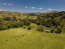 Argentina-Cordoba/Mendoza-Sierra Chicas Country Polo Clinics